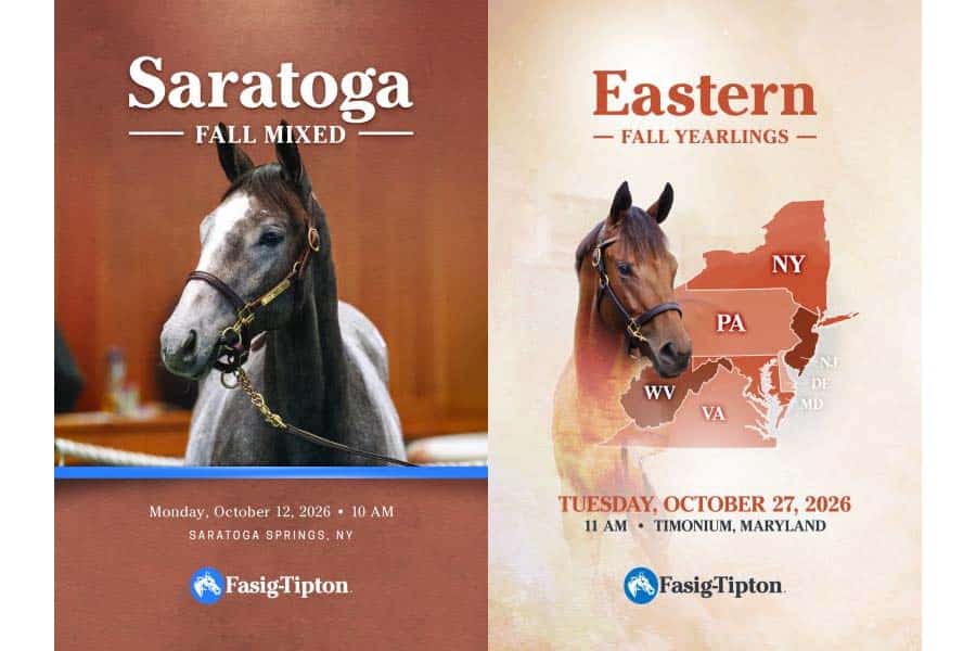 Image showing sale covers.